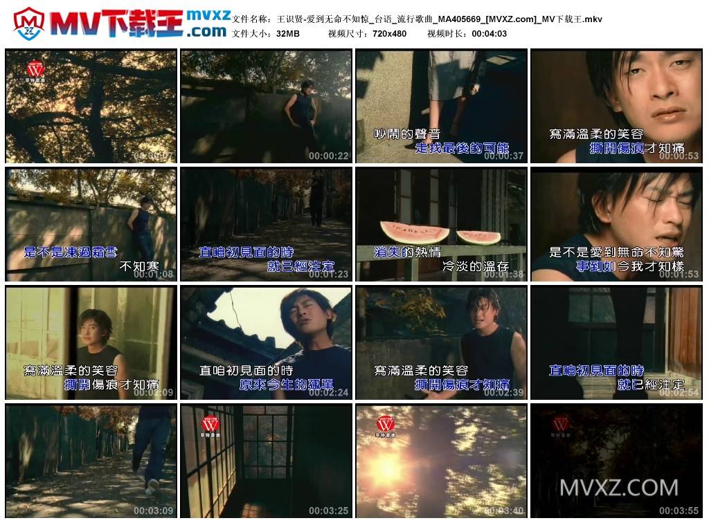 王识贤-爱到无命不知惊_台语_流行歌曲_MA405669